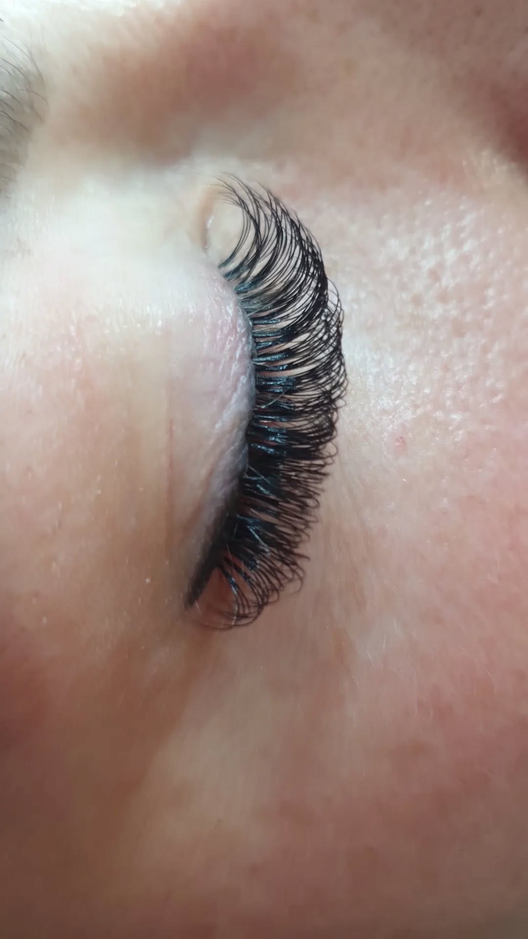 b0746fe3-8184-44f7-b009-e669d9297409